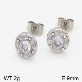 Stainless Steel Earrings  5E4000990ablb-493