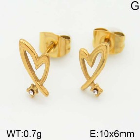 Stainless Steel Earrings  5E4000991vbll-493