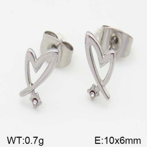 Stainless Steel Earrings  5E4000992ablb-493