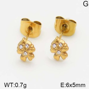 Stainless Steel Earrings  5E4001001vbll-493