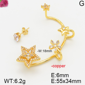 Fashion Copper Earrings  F5E400512bhva-J113