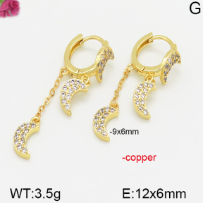 Fashion Copper Earrings  F5E400555vbnb-J113