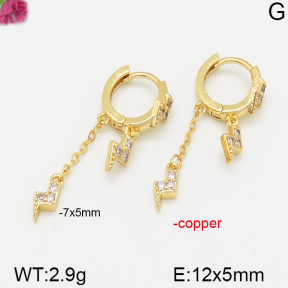 Fashion Copper Earrings  F5E400558vbnb-J113