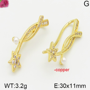 Fashion Copper Earrings  F5E400564vbnb-J113