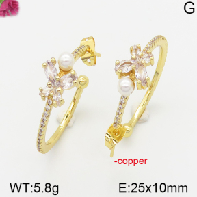 Fashion Copper Earrings  F5E400591bvpl-J113