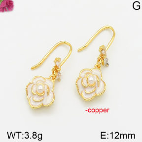 Fashion Copper Earrings  F5R300124bbov-J113