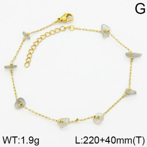 Stainless Steel Anklets  2A9000566vbmb-418