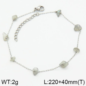 Stainless Steel Anklets  2A9000567ablb-418