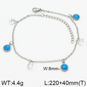 Stainless Steel Anklets  2A9000570ablb-418