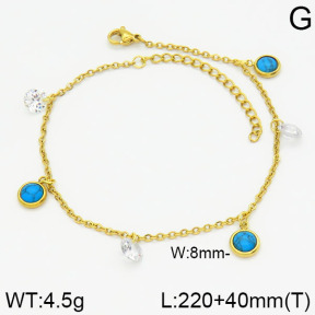 Stainless Steel Anklets  2A9000571vbmb-418