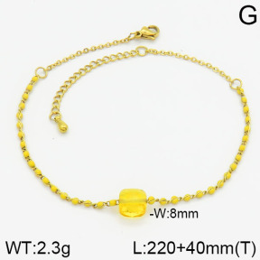 Stainless Steel Anklets  2A9000574bhva-721