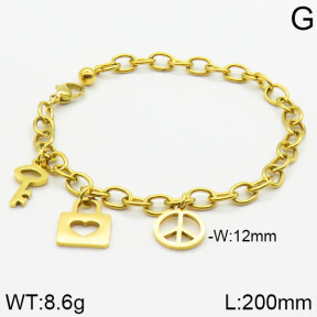 Stainless Steel Bracelet  2B2000873vbnb-418