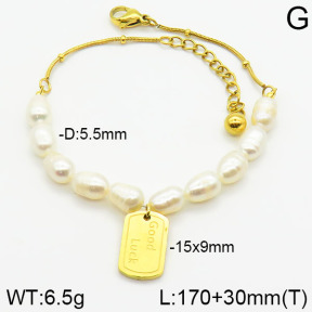 Stainless Steel Bracelet  2B3000813bhva-418