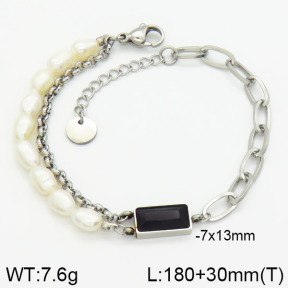 Stainless Steel Bracelet  2B3000818vbpb-418