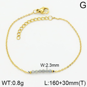 Stainless Steel Bracelet  2B4001266ablb-721