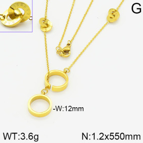 Stainless Steel Necklace  2N2001041ahjb-721