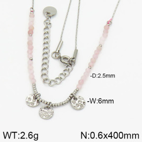 Stainless Steel Necklace  2N4000606bhia-721