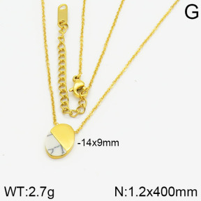 Stainless Steel Necklace  2N4000615ahjb-721