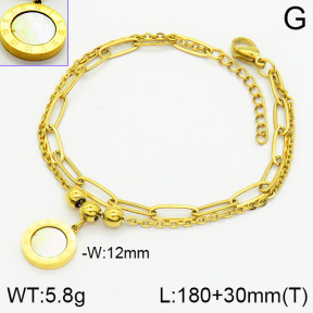 Stainless Steel Bracelet  2B4001291vbpb-738