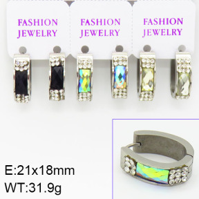 Stainless Steel Earrings  2E4001112aivb-658