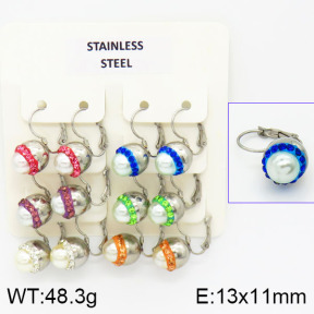 Stainless Steel Earrings  2E4001113ajlv-658