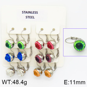 Stainless Steel Earrings  2E4001114ajlv-658