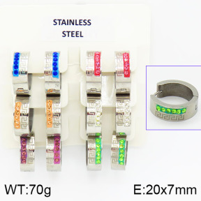 Stainless Steel Earrings  2E4001115vila-658