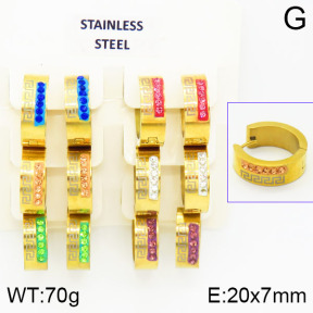 Stainless Steel Earrings  2E4001117ajvb-658