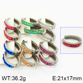 Stainless Steel Earrings  2E4001119vila-658
