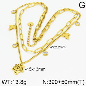 Stainless Steel Necklace  2N4000630ahlv-662