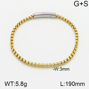 Stainless Steel Bracelet  5B2001071ahjb-722