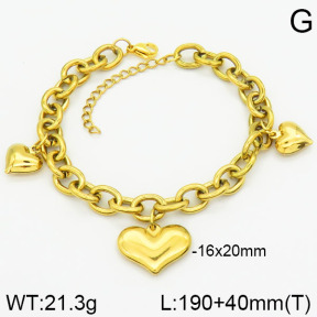 Stainless Steel Bracelet  2B2000965bvpl-733