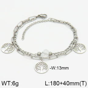 Stainless Steel Bracelet  2B4001305vbpb-610