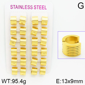 Stainless Steel Earrings  2E2000779alka-387