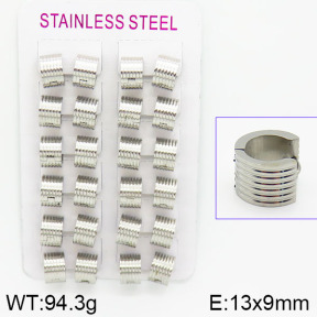 Stainless Steel Earrings  2E2000780akia-387