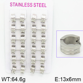 Stainless Steel Earrings  2E2000781akia-387