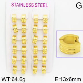 Stainless Steel Earrings  2E2000782alka-387