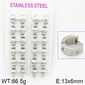 Stainless Steel Earrings  2E2000783akia-387