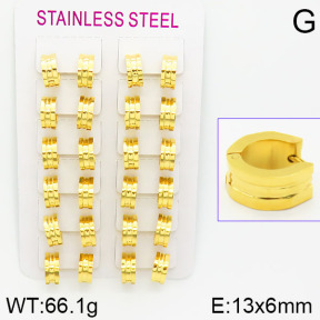 Stainless Steel Earrings  2E2000784alka-387