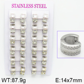 Stainless Steel Earrings  2E2000785akia-387