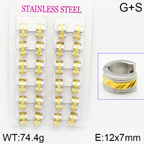 Stainless Steel Earrings  2E2000786alka-387