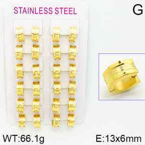 Stainless Steel Earrings  2E2000787alka-387