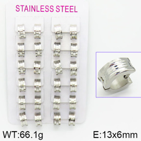 Stainless Steel Earrings  2E2000788akia-387