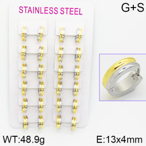Stainless Steel Earrings  2E2000789alka-387
