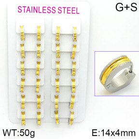 Stainless Steel Earrings  2E2000790alka-387