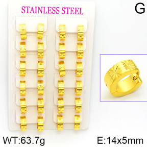 Stainless Steel Earrings  2E2000791alka-387