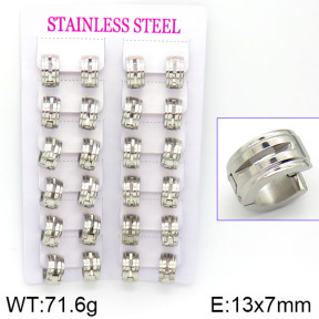 Stainless Steel Earrings  2E2000792akia-387