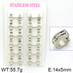 Stainless Steel Earrings  2E2000793akia-387