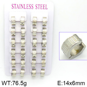 Stainless Steel Earrings  2E2000794akia-387