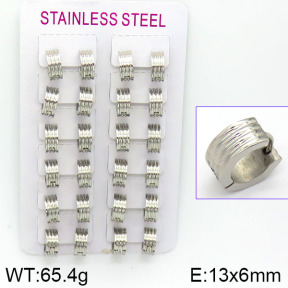 Stainless Steel Earrings  2E2000795akia-387